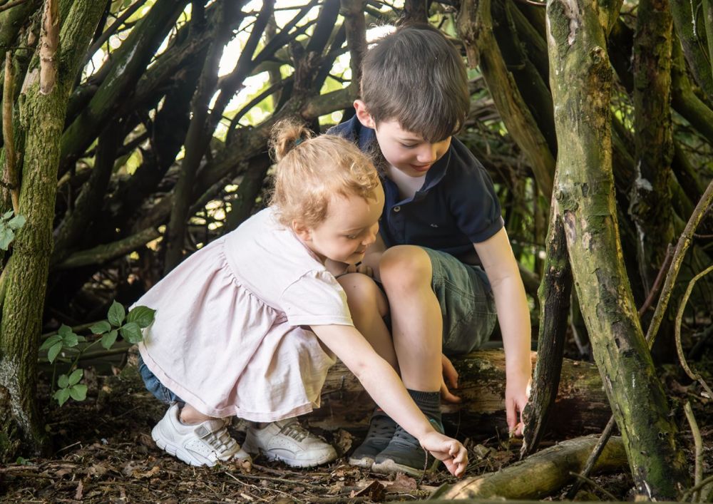 Children in a wood