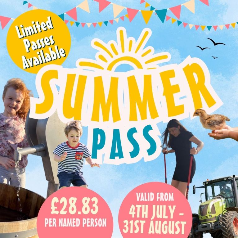 Summer Pass