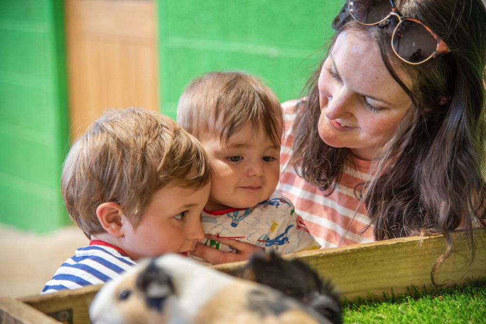 Children enjoying the farm